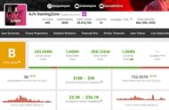 Details regarding his monthly income (Image via Social Blade)